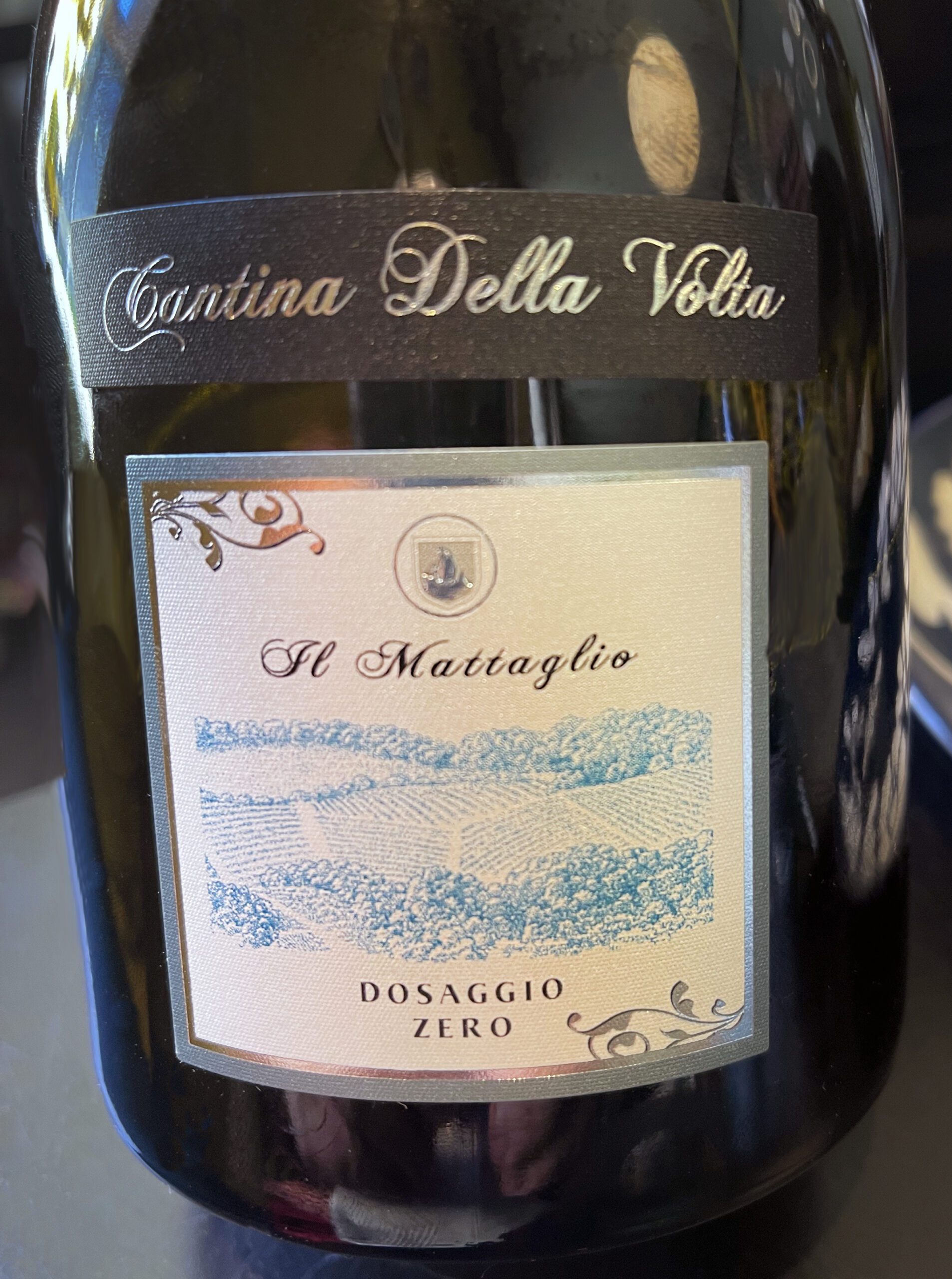 Modena-produced Cantina Della Volta Dossagio Zero, a sparkling wine that was a delicious and bright blend of 57% Chardonnay and 43% Pinot Noir
