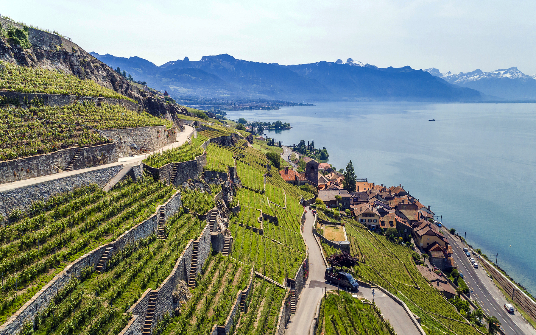 Swiss Panoramic Tours
Geführte Weintour im Lavaux mit Panorama Bus.