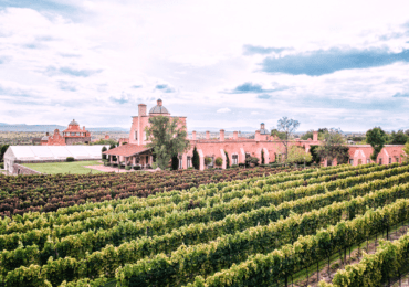 Nine Lesser-Known Wine Regions Worth a Visit