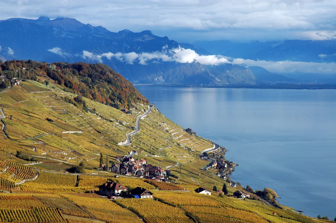 Lavaux Vineyards Switzerland - © Switzerland Tourism