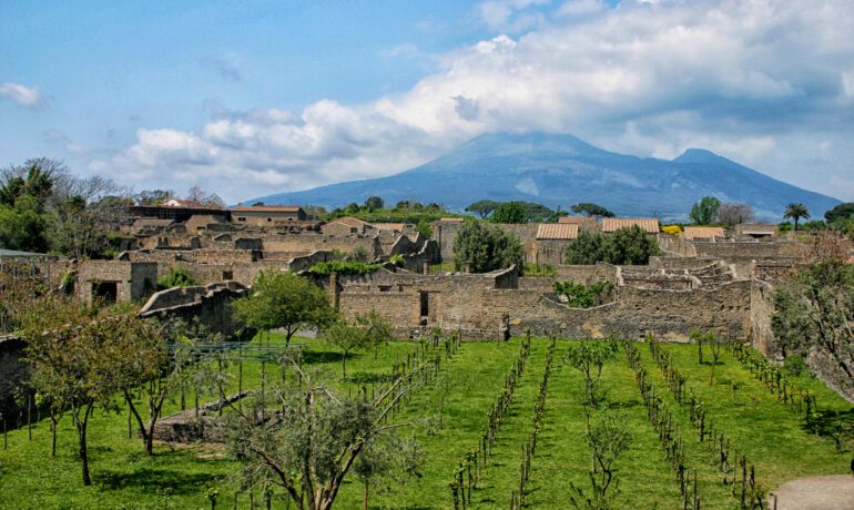 From Ash to Glass: The Charm of Campania's Volcanic Wines