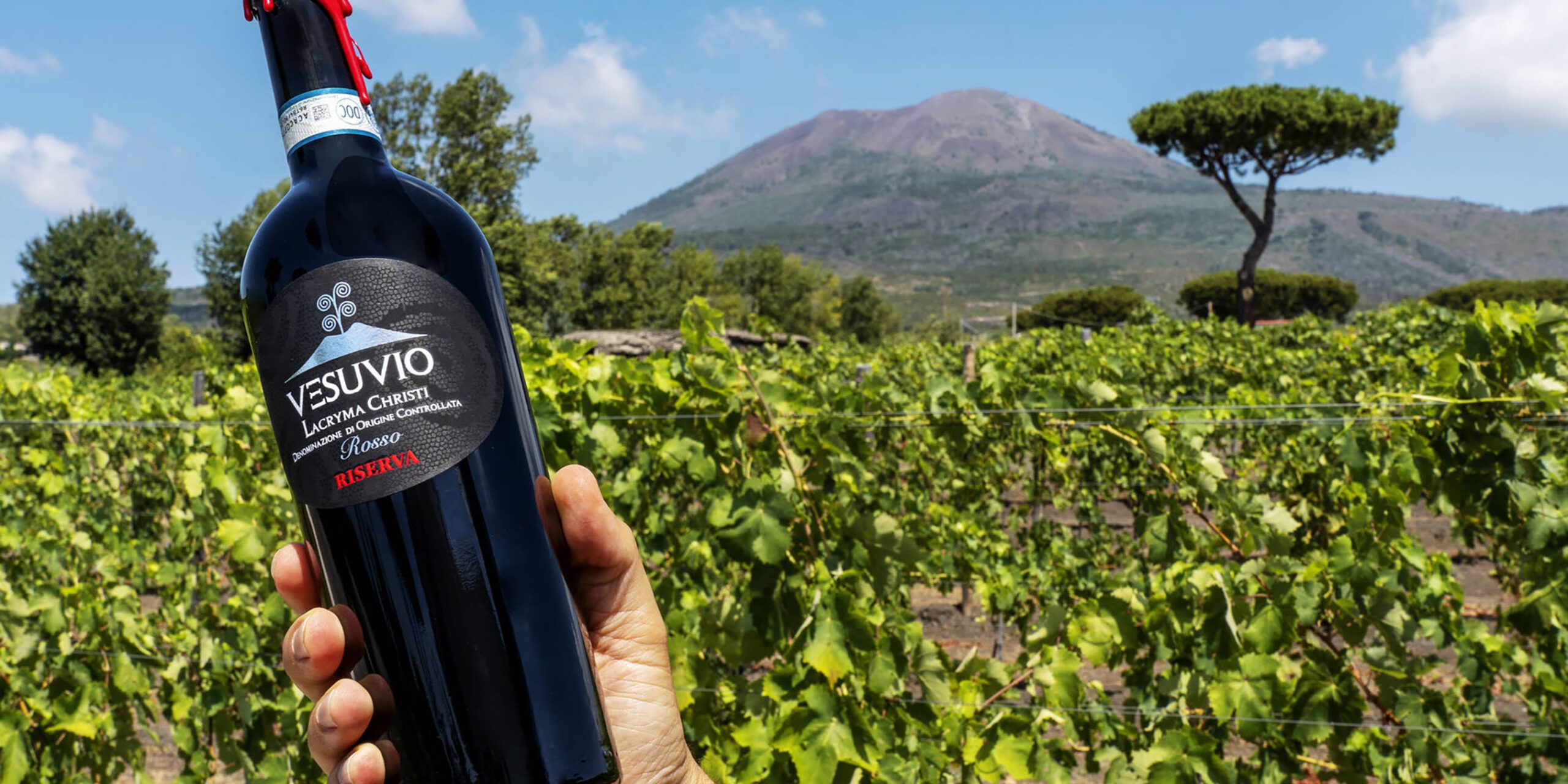 Lacryma Christi Cantina del Vesuvio