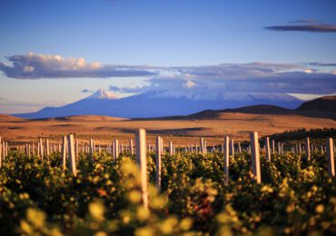 The Secrets of Armenia: A Wine Lover's Odyssey Through Ancient Vines