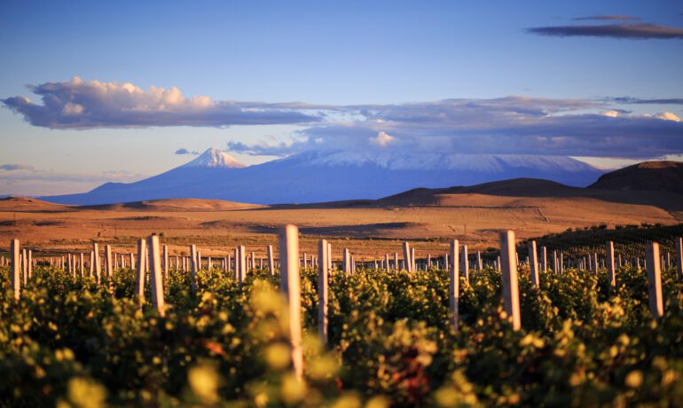 The Secrets of Armenia: A Wine Lover's Odyssey Through Ancient Vines