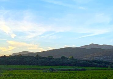 Les Vinifilles: A New Wind Blowing through France’s Languedoc