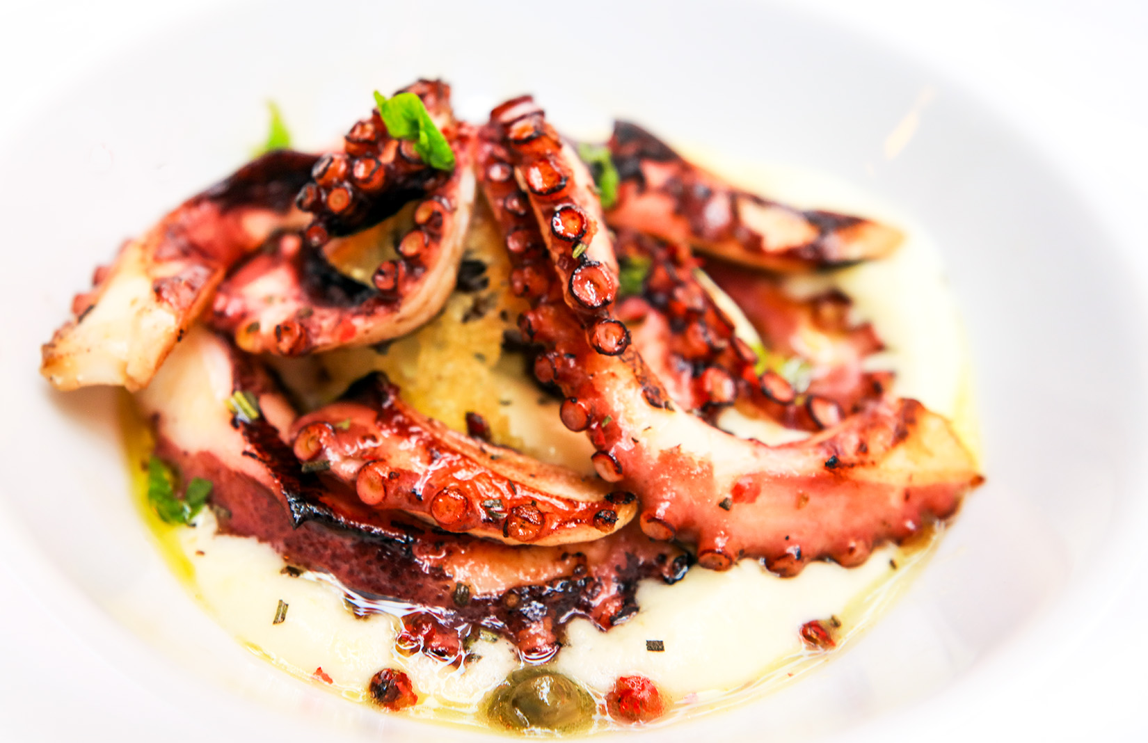 Grilled Octopus with creamy potato puree Grilled Octopus with creamy potato puree